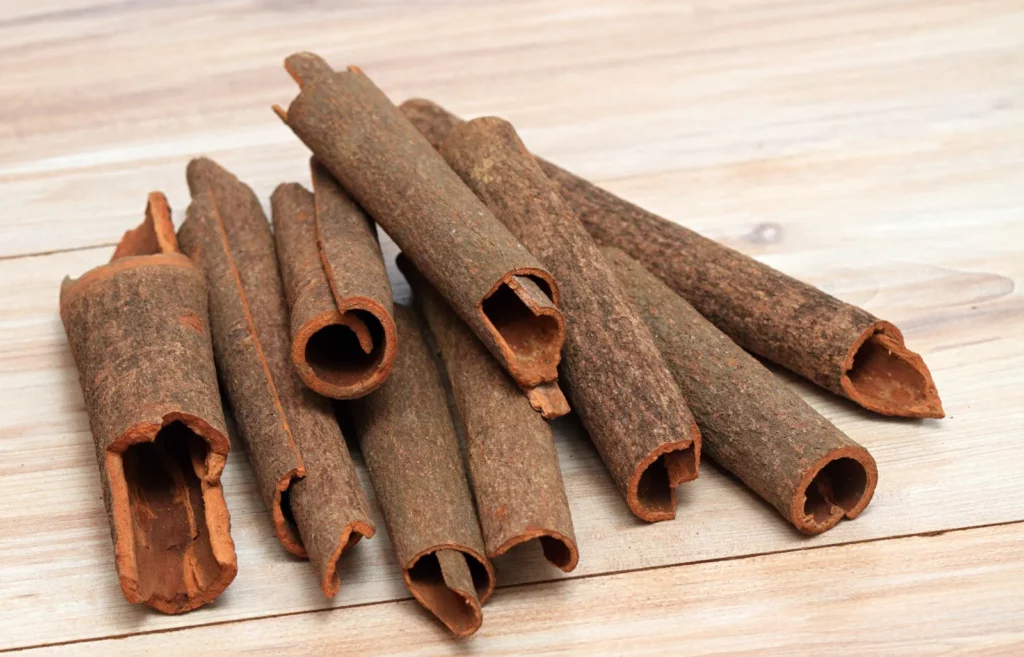 bark Cinnamomum cassia plant spice.jpg