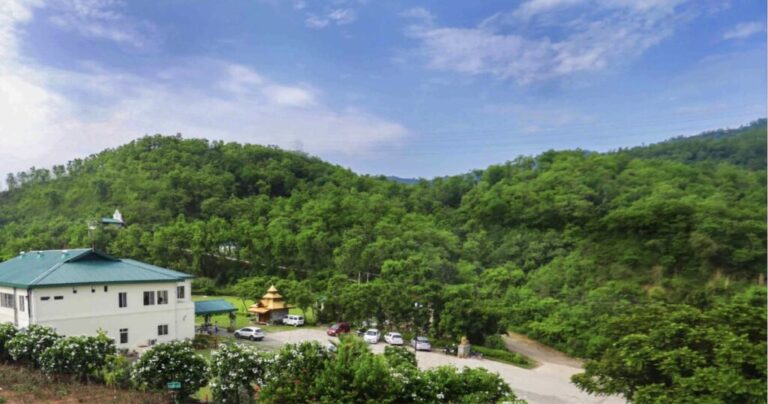 панчакарма в индии. лучшая панчакарма в индии. тур в индию