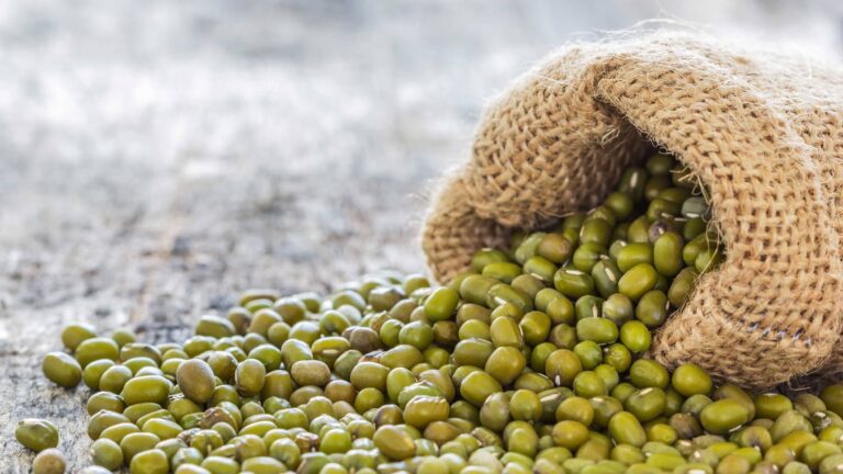 Маш (бобы мунг) – аюрведические свойства, применение 9 маш